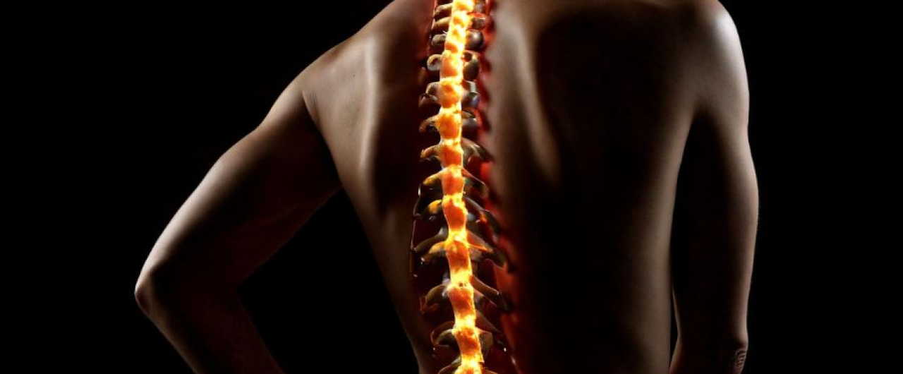 Body Memories and the Spine